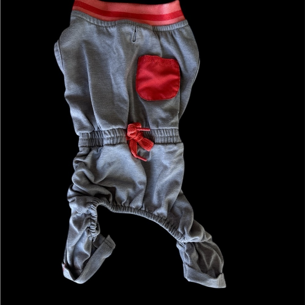 🌸 Gray and Red Dog Tracksuit